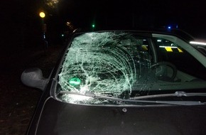 Kreispolizeibehörde Rhein-Kreis Neuss: POL-NE: Autofahrer übersieht Rotlicht - Fußgänger schwer verletzt