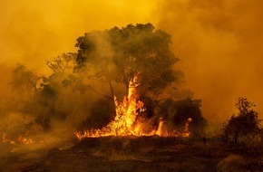 Global Nature Fund: Weltnaturerbe in Flammen: Das Pantanal ist „Bedrohter See des Jahres 2021“
