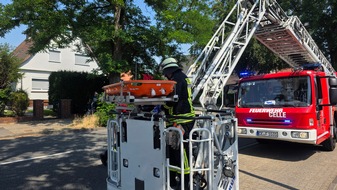 FW Celle: Hohes Einsatzaufkommen bei hohen Temperaturen - u.a. Waldbrand, Pkw-Brand und Heckenbrand!