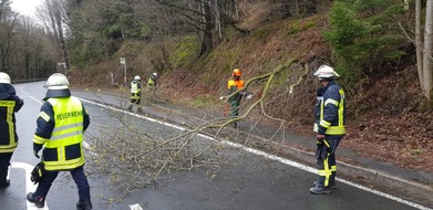 Freiwillige Feuerwehr Breckerfeld: FW-EN: Umgestürzter Baum auf der L699