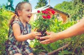 ICHTHYOL: Ostern im Garten - was tun, wenn die Rose sticht? / Kleine Verletzungen aus der Hausapotheke verarzten