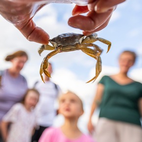 Spontanurlaub in Cuxhaven buchen- Einzigartig vielfältig!