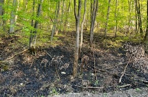 Landespolizeiinspektion Nordhausen: LPI-NDH: Flächenbrand in Waldgebiet