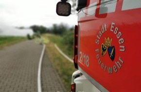 Feuerwehr Essen: FW-E: Waschmaschine geht in Flammen auf - keine Verletzten