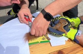 Feuerwehr M&uuml;nchen: FW-M: "Oachkatzlschwoaf" wird zum Verh&auml;ngnis (Sendling)