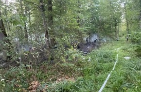 Feuerwehr Offenburg: FW-OG: Vegetationsbrand im Offenburger Stadtwald