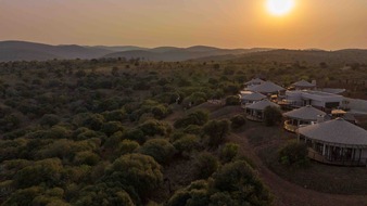 Thanda Safari begrüsst 2 Könige - 20 Jahre Wildtierschutz: Löwenpopulation weiter gestärkt