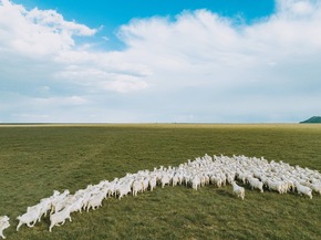 The Good Cashmere Standard Expands Animal Welfare Assessment on Audited Farms