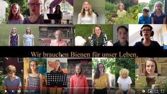 Stiftung für Mensch und Umwelt: Musizieren und gärtnern für die Bienen