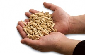 Holzenergie Schweiz: Holzpellets: Sicherheit und Preisstabilität
