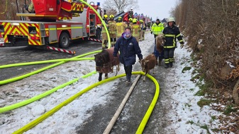 Kreisfeuerwehrverband Hzgt. Lauenburg: FW-RZ: Dachstuhlbrand in Linau/Hzgt. Lauenburg