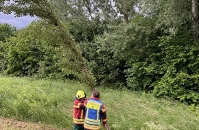 Freiwillige Feuerwehr Reichenau: FW Reichenau: Baum droht auf Fahrbahn zu stürzen, Reichenauer Alleenstrasse L221 , 04.06.2025