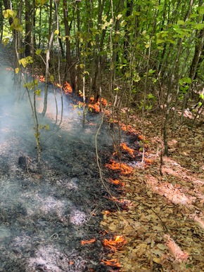 FW Stuttgart: Waldbrand auf 6.500 Quadratmetern in Stuttgart-Rohracker