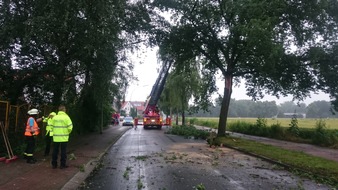 FW-WRN: Baum auf Straße im Fürstenhof