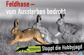 Wildtierschutz Deutschland e.V.: Kampagne: Schluss mit der Hobbyjagd / Novellierung der Jagdgesetze in Rheinland-Pfalz und in Brandenburg