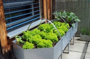 BÖGART: BÖGART: Flexible Hochbeete für Garten und Balkon (Bild)