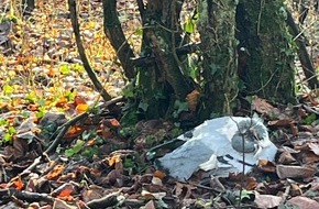Polizeidirektion Lübeck: POL-HL: Ostholstein - Süsel / Verendete Tauben am Straßenrand aufgefunden - Zeugen gesucht