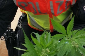 Landespolizeiinspektion Erfurt: LPI-EF: Cannabispflanzen gefunden