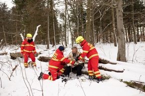 Helden auf vier Pfoten: DLRG Rettungshunde im Einsatz