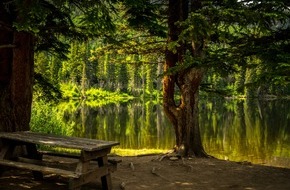 Thank Nature GmbH: Thank Nature im Check: Wie sinnvoll sind natürliche Alternativen zur klassischen Medizin? Ein neuer Blick auf Bluthochdruck & Co. - und eine Marke, die mitgeht