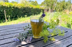 BUND: ++ Ökotipp: Kühle Limo für heiße Tage – so wird aus Gartenkräutern ein leckerer Drink ++