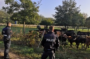 Polizeidirektion Neustadt/Weinstraße: POL-PDNW: Polizeiautobahnstation Ruchheim - Polizei als Cowboys unterwegs