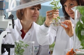 L'Oréal Suisse SA: Encourager les carrières scientifiques féminines en Suisse:
Ouverture de la 3ème édition du programme de bourses For Women in Science