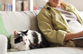 Zentralverband Zoologischer Fachbetriebe Deutschlands e.V. (ZZF): Zum Welt-Katzen-Tag am 8. August: Graupfoten – was Katzen-Senioren brauchen