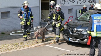 Feuerwehr Dortmund: FW-DO: Hund aus Brandwohnung gerettet