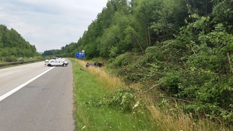 Verkehrsdirektion Koblenz: POL-VDKO: Verkehrsunfall mit mehreren verletzten Personen