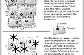Deutsches Tiefkühlinstitut e.V.: Schockfrostung: schnell und schonend / Tiefkühlkost qualitativ besser als selbst einfrieren