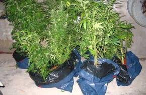Polizeiinspektion Nienburg / Schaumburg: POL-STH: Cannabispflanzen nach Brand sichergestellt