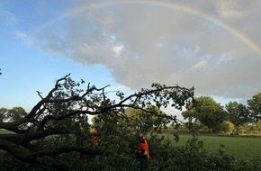 Freiwillige Feuerwehr Aurich: FW-AUR: Straße von umgestürzten Baum freigeräumt