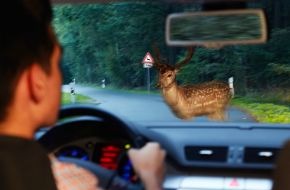 HUK-COBURG: Mit Hirschen und Rehen muss gerechnet werden / Wer durch Waldstücke fährt, muss Geschwindigkeit anpassen und vorsichtig fahren (BILD)