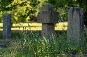 BUND: ++ Ökotipp | Naturnahe Grabgestaltung -  So wird der Friedhof zur Oase für Wildbienen und Schmetterlinge ++