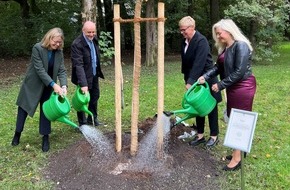 Bund deutscher Baumschulen (BdB) e.V.: Eine Rosskastanie im Englischen Garten zum Gedenken an Königin Elizabeth II.