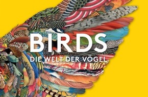 Andrea Rehn PR: BIRDS – Die Welt der Vögel, Ein Ausflug in die gefiederte Welt, erscheint am 15. Mai 24 im Midas Verlag