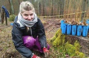 Bergwaldprojekt e.V.: Fast 20 Freiwillige mit dem Bergwaldprojekt e.V. im Einsatz für einen naturnahen Wald im Spessart