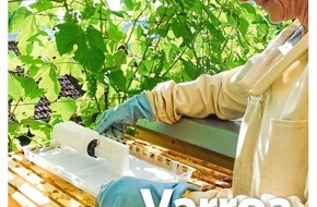 dlv Deutscher Landwirtschaftsverlag GmbH: bienen&natur bringt Neuauflage vom Sonderheft Varroa heraus