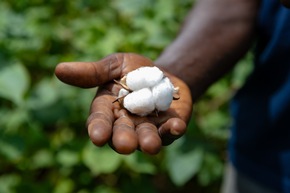 Aid by Trade Foundation erreicht neue Meilensteine für Lieferkettentransparenz