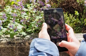 Universität Konstanz: Fotowettbewerb: Mit geschärftem Blick zum besten Naturfoto, PI Nr. 51/2024