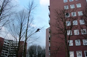 ZDF: Stadtbäume in Not: ZDF-"planet e."-Doku über wachsenden Wohnungsbau und schwindenden Baumbestand (FOTO)