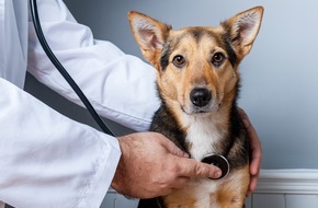 Bundesverband f&uuml;r Tiergesundheit e.V.: Jetzt Vorsorge planen: Haustieren einen gesunden Start ins neue Jahr erm&ouml;glichen!