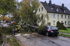 Polizei Minden-Lübbecke: POL-MI: Sturm lässt Baum auf zwei Autos stürzen: Einsatzlage der Polizei aktuell überschaubar