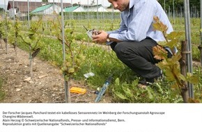 Schweizerischer Nationalfonds / Fonds national suisse: SNF: Bild des Monats Mai 2006: Wassermanagement in der  Landwirtschaft