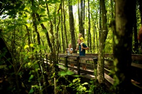 Fort Myers &ndash; Islands, Beaches &amp; Neighborhoods