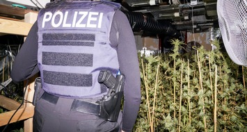 Polizei Wuppertal: POL-W: Wuppertaler Strafverfolgungsbehörden entdecken Cannabisplantage in Gelsenkirchen - Gemeinsame Presseerklärung der Staatsanwaltschaft und Polizei Wuppertal