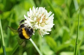 AGRAVIS Raiffeisen AG: biovis agrar GmbH will Öko-Landwirten verlässlicher Partner sein