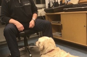 Bundespolizeiinspektion Flensburg: BPOL-FL: Glückliche Familienzusammenführung - Labradorhündin allein auf Bahnsteig- Bundespolizei hilft