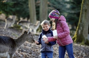 Erlebnispark Tripsdrill: Faschingsferien im Wildparadies Tripsdrill